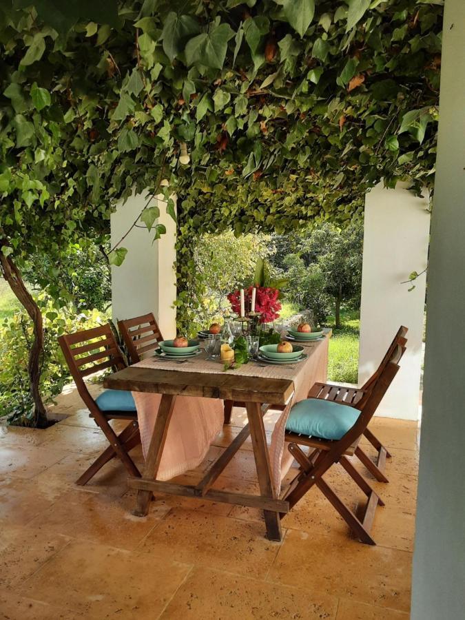 Finca Can Paci Santa Eularia des Riu Ngoại thất bức ảnh